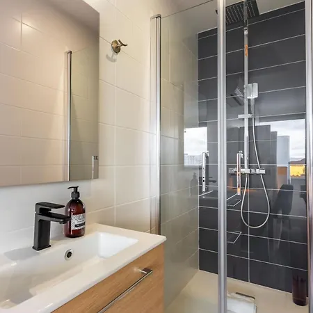Le Prouve Ii - Tres Bel Climatise Apartament Nancy
